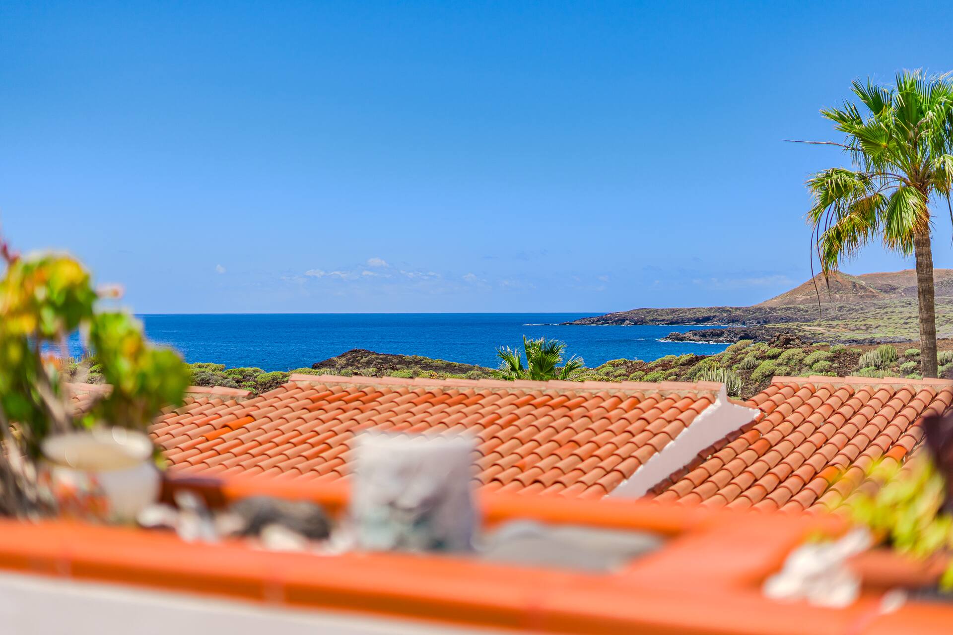More photos at Amarilla Ocean Retreat