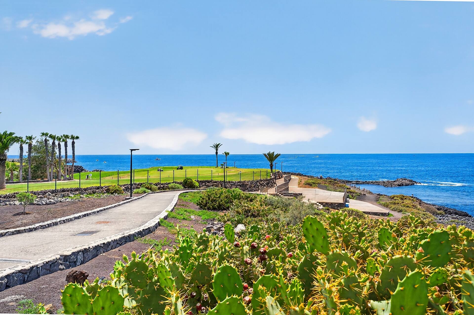 More photos at Amarilla Ocean Retreat